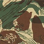 Rhodesian Brushstroke (+500 TL)